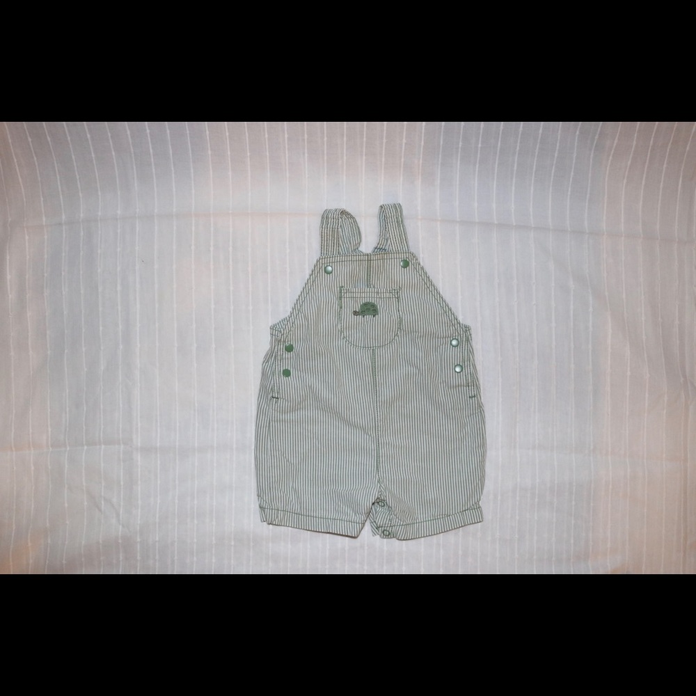 Green striped turtle shorts overalls.